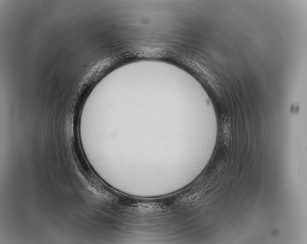 X0000097910686200804111113