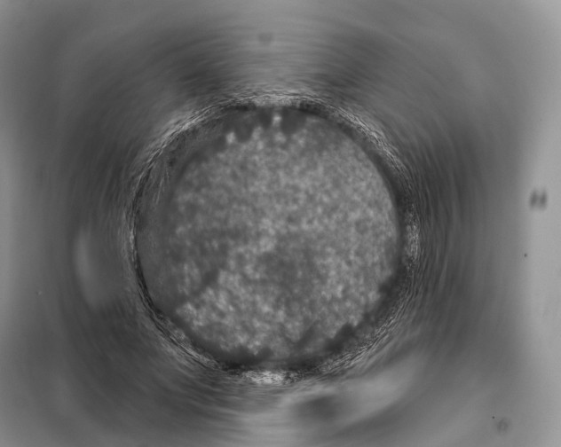 X0000097910687200804111113