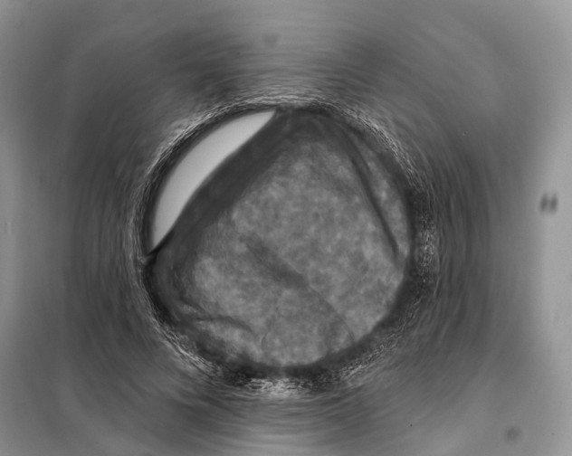 X0000097910688200804111113