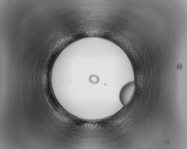 X0000097910690200804111113