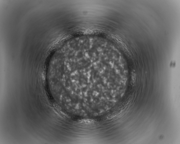 X0000097910691200804111113