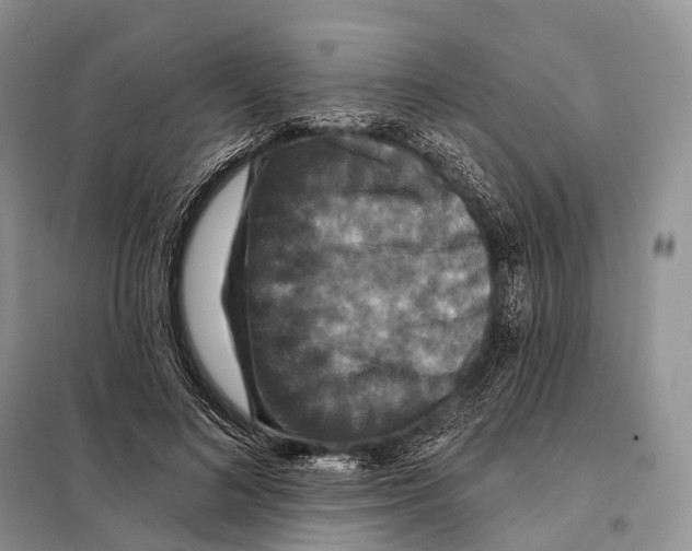 X0000097910692200804111113