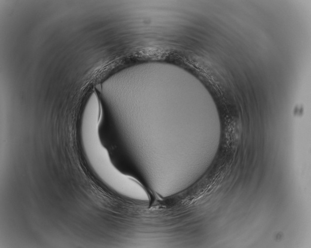 X0000097910693200804111113