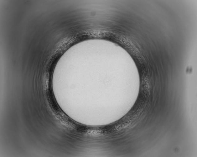 X0000097910694200804111113