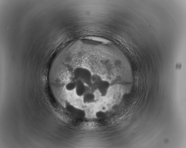 X0000097910695200804111113