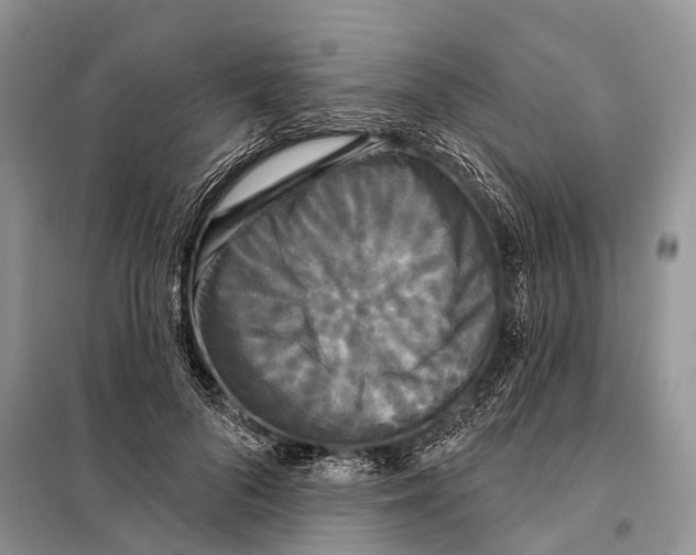 X0000097910696200804111113