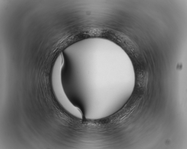 X0000097910697200804111113