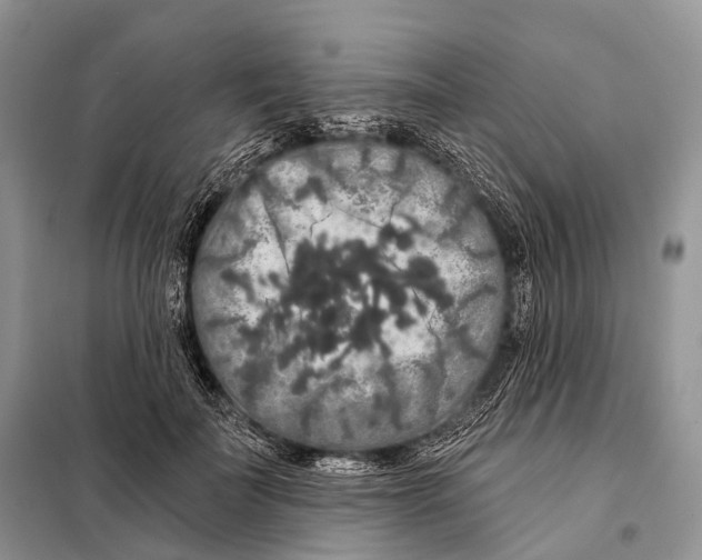 X0000097910699200804111113