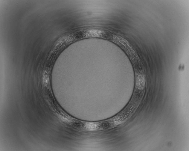 X0000097910701200804111113