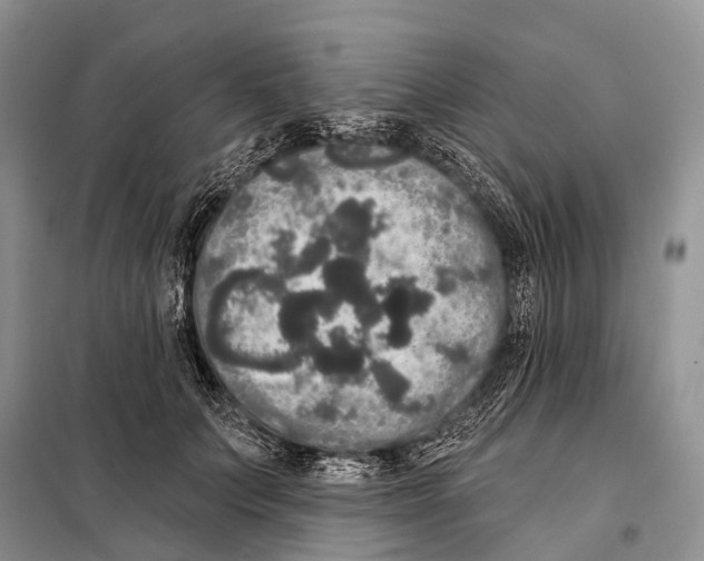 X0000097910703200804111113