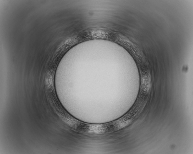 X0000097910705200804111113