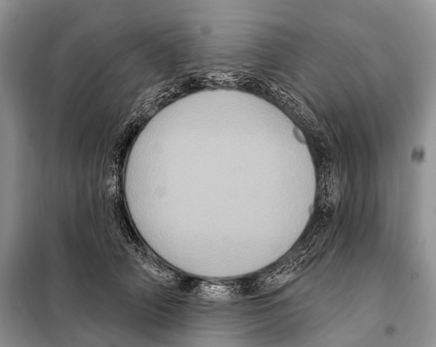 X0000097910706200804111113