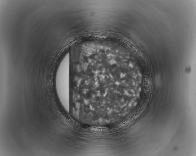 X0000097910707200804111113