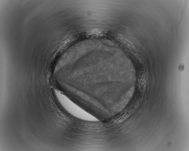 X0000097910708200804111113