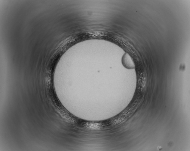 X0000097910710200804111113