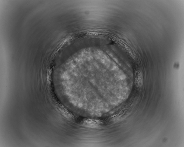 X0000097910712200804111113