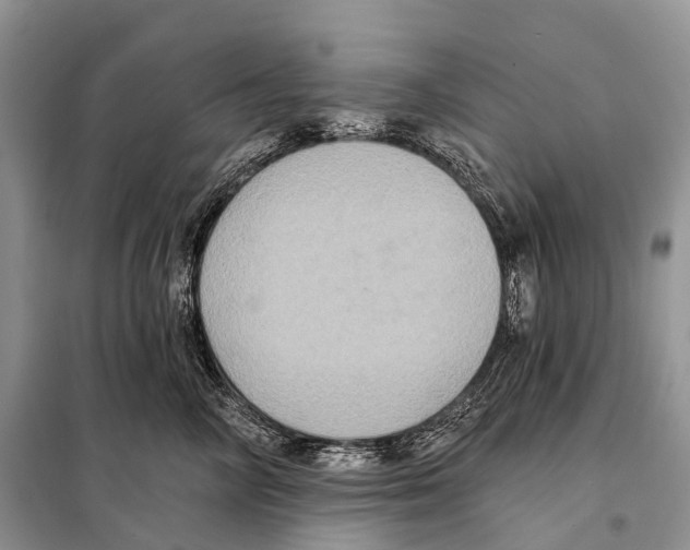 X0000097910714200804111113