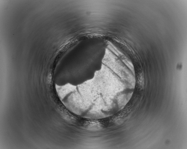 X0000097910715200804111113