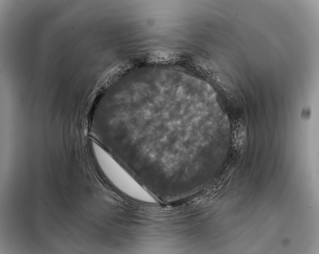 X0000097910716200804111113