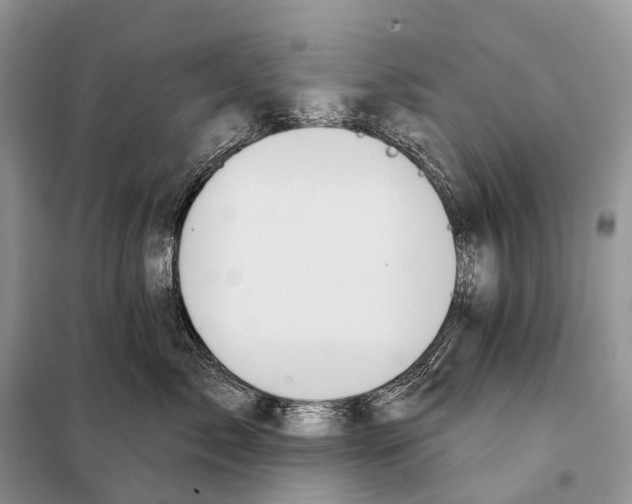 X0000097910717200804111113