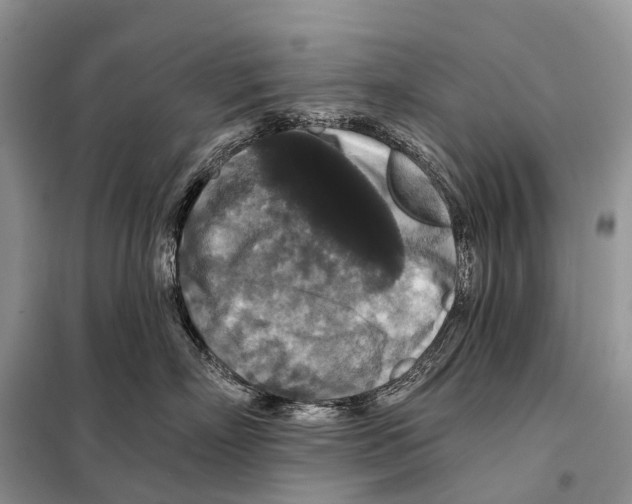 X0000097910718200804111113