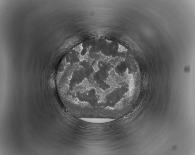 X0000097910719200804111113