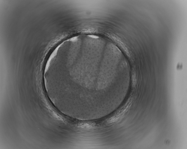 X0000097910721200804111112