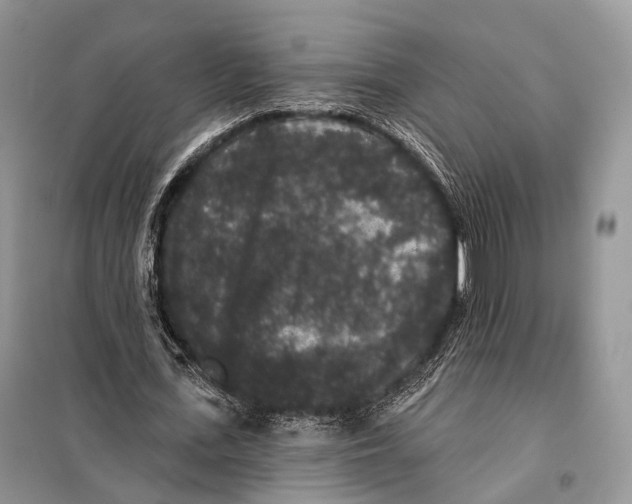 X0000097910723200804111112