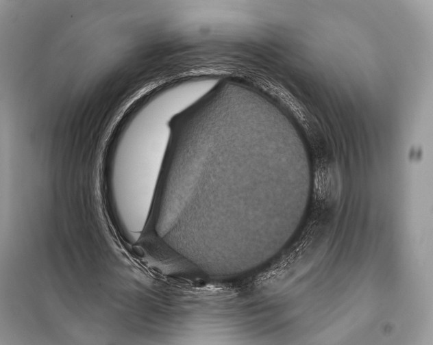 X0000097910724200804111112