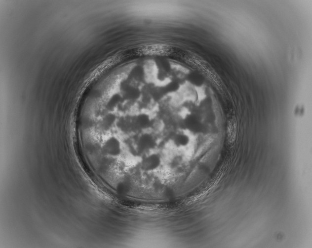 X0000097910725200804111112