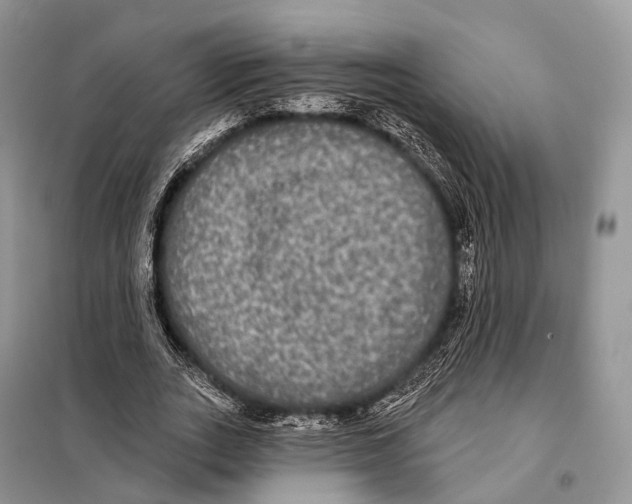 X0000097910727200804111112