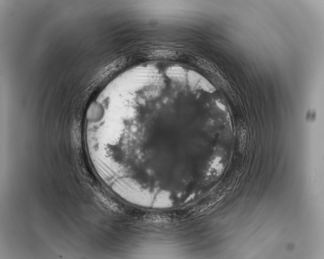 X0000097910729200804111112