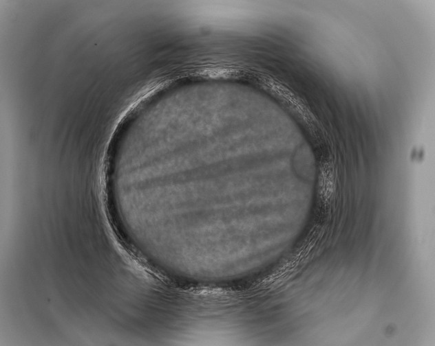 X0000097910730200804111112