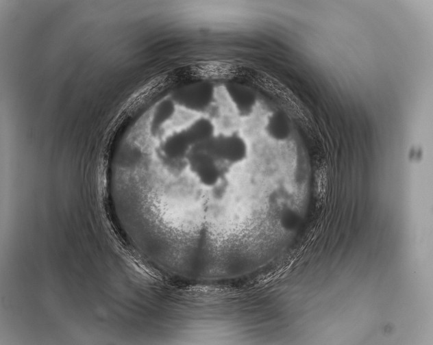 X0000097910733200804111112