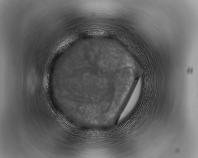 X0000097910735200804111112