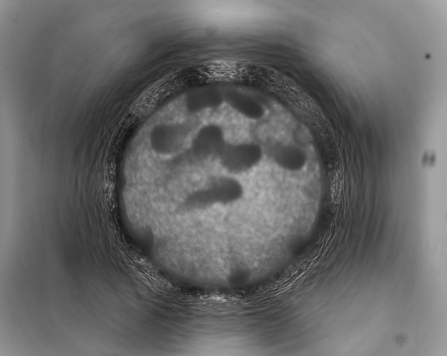 X0000097910737200804111112