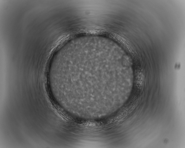 X0000097910738200804111112