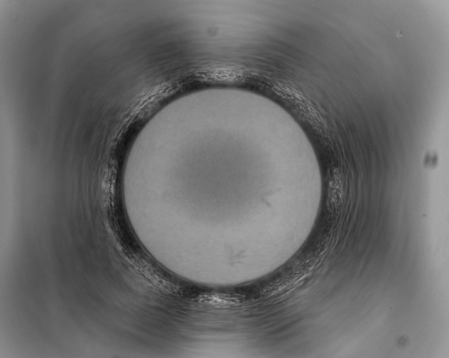 X0000097910739200804111112