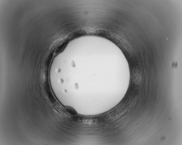 X0000097910740200804111112