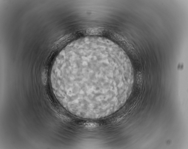 X0000097910741200804111112