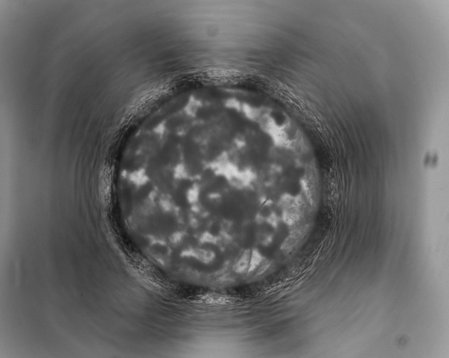 X0000097910742200804111112