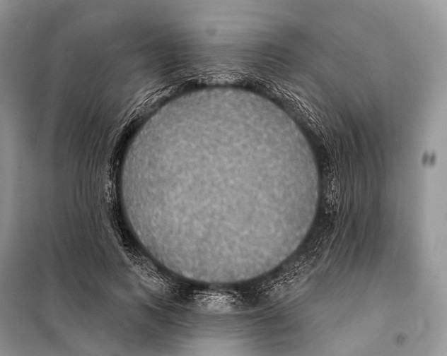 X0000097910743200804111112