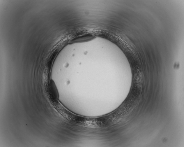 X0000097910744200804111112