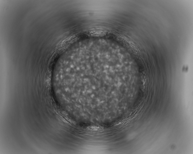 X0000097910745200804111112