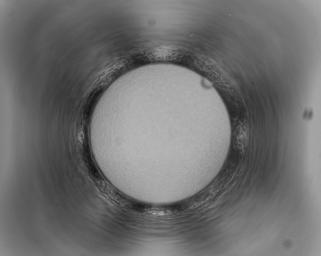 X0000097910746200804111112