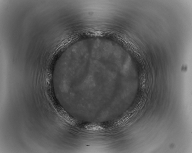 X0000097910747200804111112