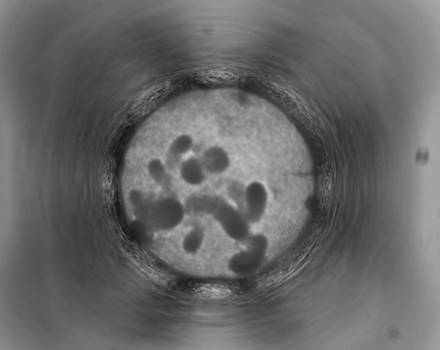 X0000097910749200804111112