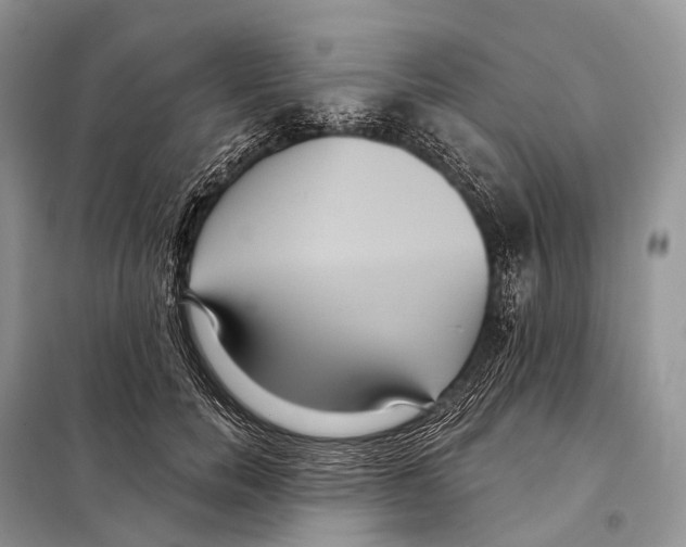 X0000097910750200804111112