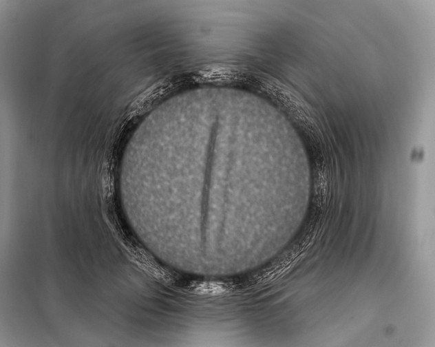 X0000097910751200804111112