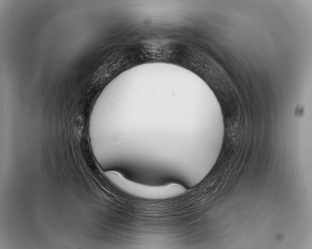 X0000097910752200804111112